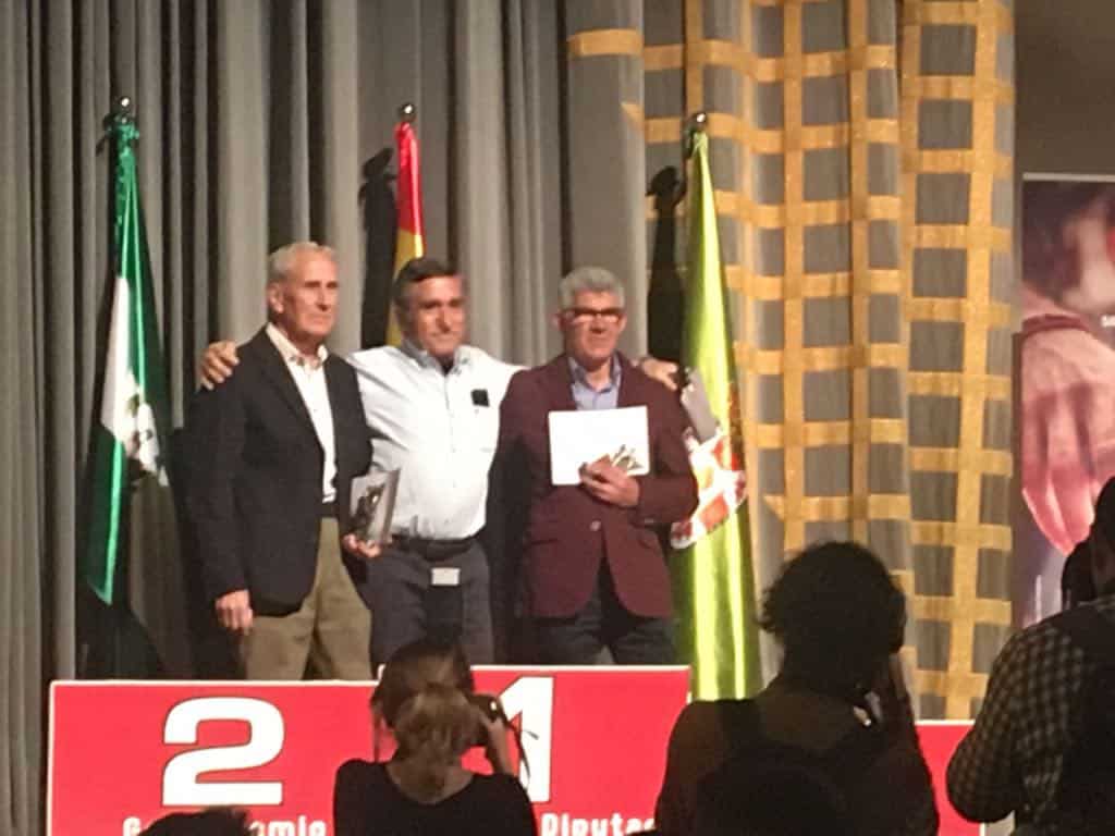 Premios Diputación de Deportes de Granada 2018